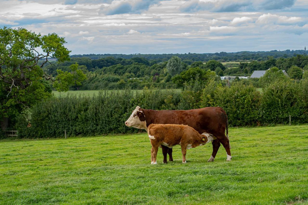 Higher Farm Malpas  Exterior photo